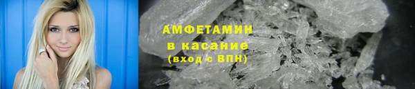 прущие грибы Касимов