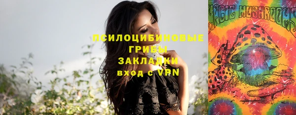 гидропоника Карпинск