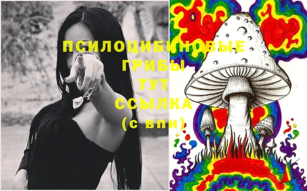 гидропоника Карпинск